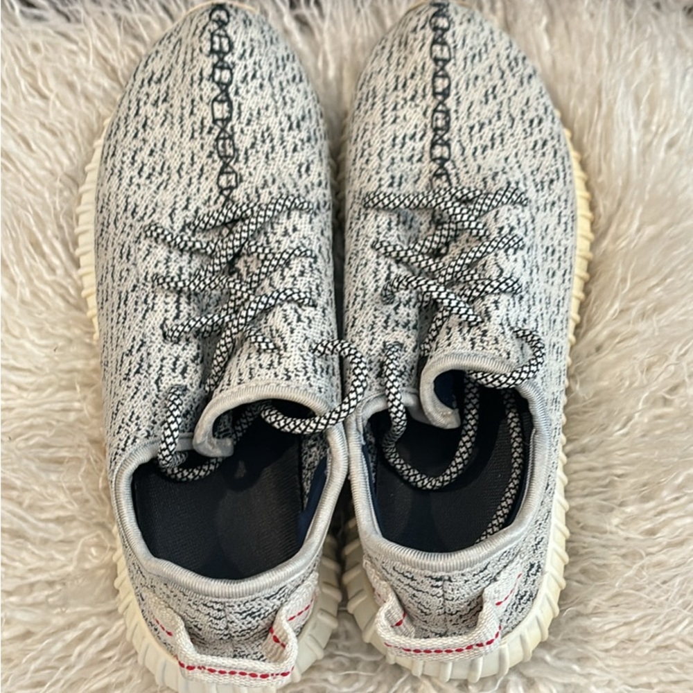 Yeezy Turtle Dove